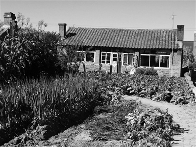 王磊家。 遼沈晚報(bào)、聊沈客戶端首席記者 呂洋 攝