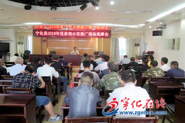 寧化：稻種好不好，現(xiàn)場(chǎng)比一比