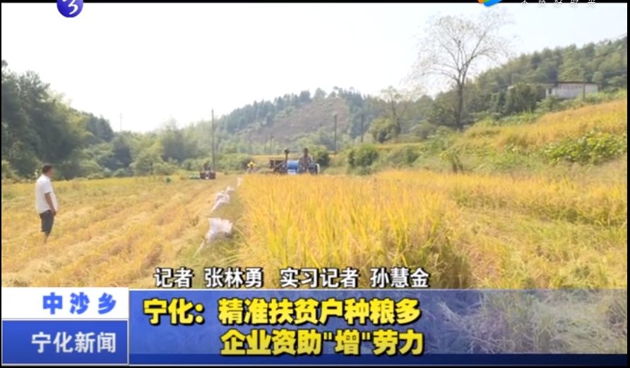 寧化：精準(zhǔn)扶貧戶種糧多 企業(yè)資助“增”勞力