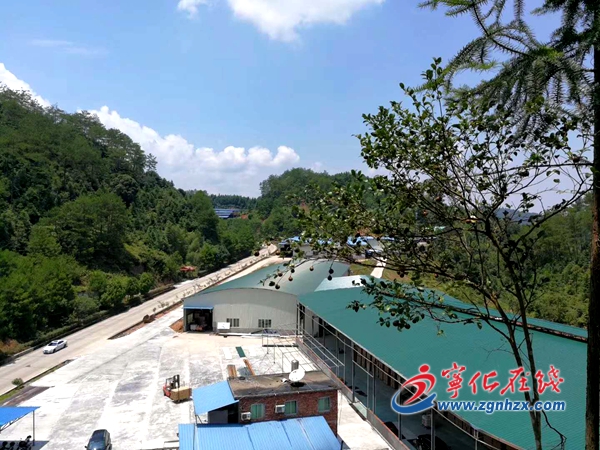 寧化安樂鎮：“黨建+”引領竹業發展