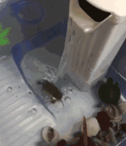 零點秒殺就要開始，