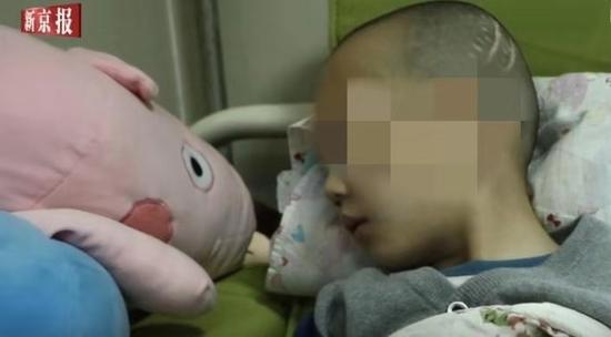 ▲&nbsp;鵬鵬&nbsp; 圖片來源：新京報“我們”視頻