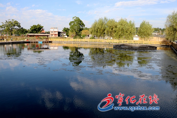 網絡媒體走轉改︱清流李家打造“冷泉+”鄉村旅游品牌