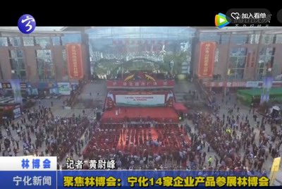 聚焦林博會：寧化14家企業產品參展林博會