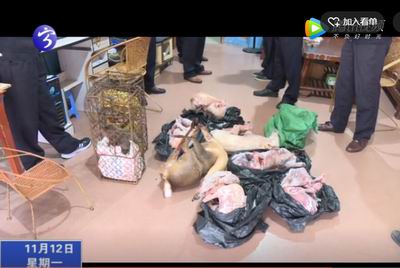 寧化：打擊非法販賣野生動物戰果豐碩 “安遠蛇王”應聲落網