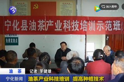 油茶產業科技培訓 提高種植技術