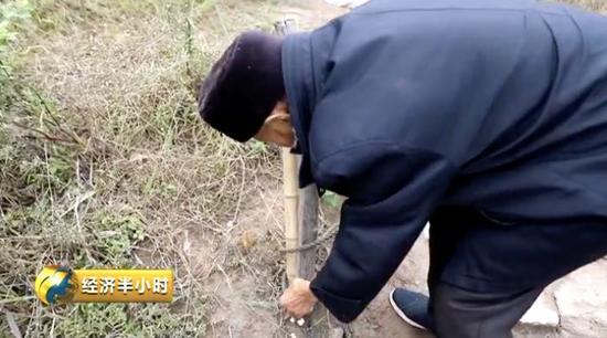  萬(wàn)其珍拴船