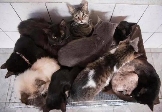 圖片來源：視覺中國