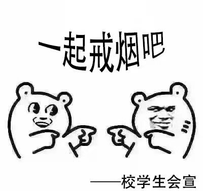 受訪者陳小楠 供圖