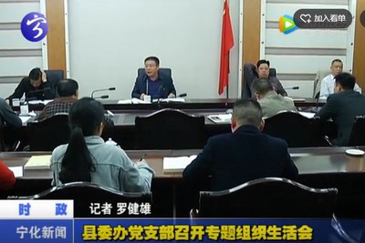 縣委辦黨支部召開(kāi)專(zhuān)題組織生活會(huì)