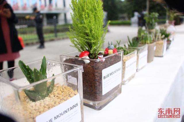 “共享創業·創新未來” 福建文創市集成“雙創”試煉場