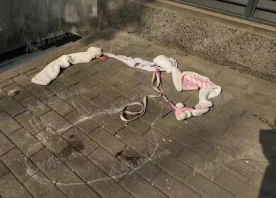 在狗摔下來(lái)的地方還有沾著鮮血的繩子。 &nbsp;成都商報(bào) 資料圖