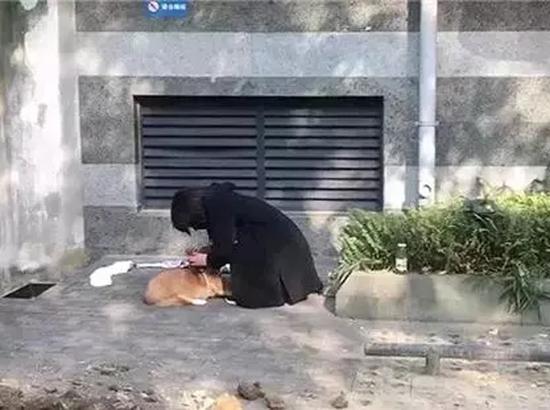 女孩旦旦在何興麗家樓下發(fā)現(xiàn)了自己的柯基狗。 本文圖片均來(lái)自“深一度”（除署名外）