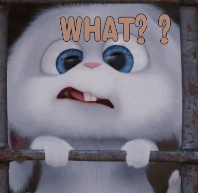 是的，你沒有看錯，這條新聞刷爆了各大媒體圈……