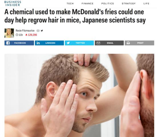 美國福克斯新聞：“研究表明，麥當勞的薯條中含有可以治愈脫發的化學物質。”