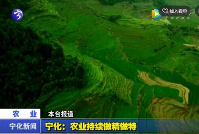 寧化：農業持續做精做特