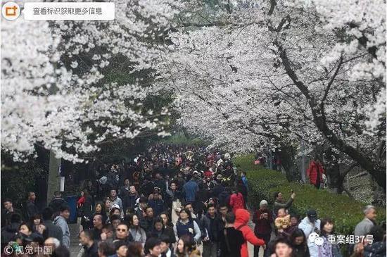 ▲3月20日，武漢大學櫻花節啟幕首日，提前網上預約賞櫻的眾多游客如約而至。&nbsp;&nbsp;&nbsp;&nbsp;圖/視覺中國
