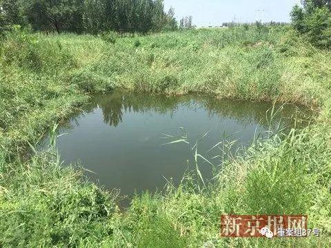 ▲發現李文星尸體的水坑。新京報記者 李明 攝