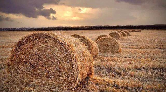 福建農村戶口升值 這些人身價暴漲