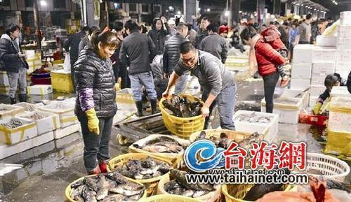 廈門海域休漁三個半月 水產品價格將漲20%