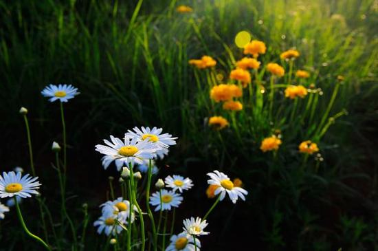 視覺中國 資料圖