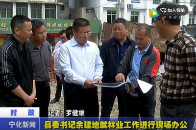 縣委書記余建地就林業工作進行現場辦公