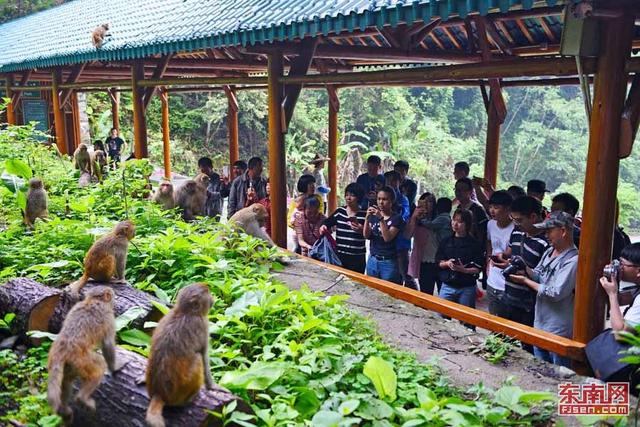 永春牛姆林景區重裝迎客