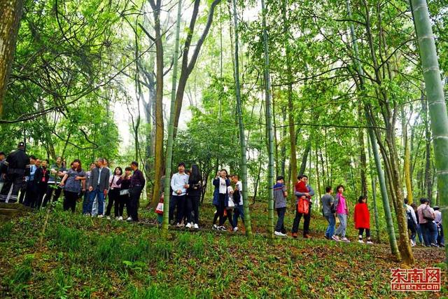 永春牛姆林景區重裝迎客