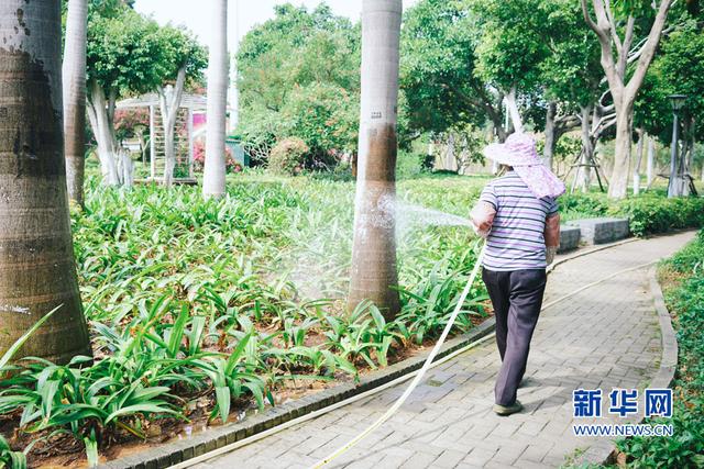 鏡頭下的勞動者