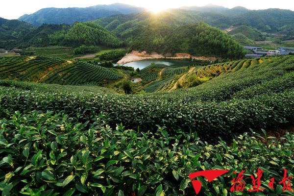 居全國首位!福建省累計批辦臺資農業項目2650個