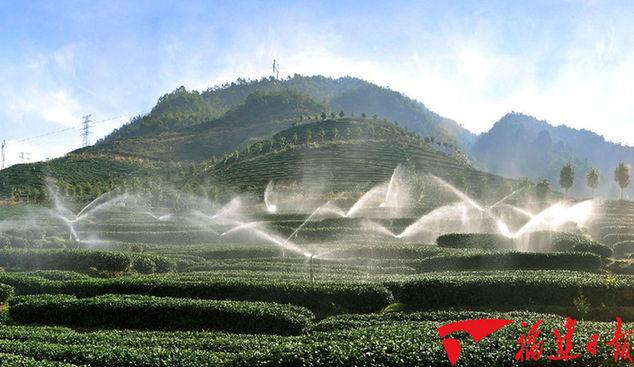 居全國首位!福建省累計批辦臺資農業項目2650個