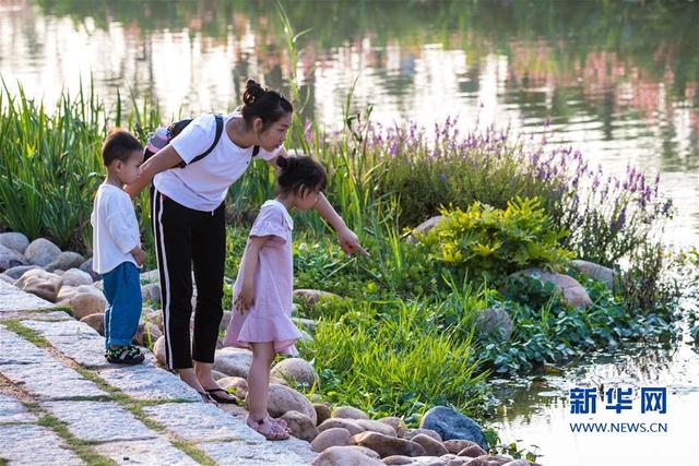 （環境）（11）福建漳州：“生態 ”打造宜居之城