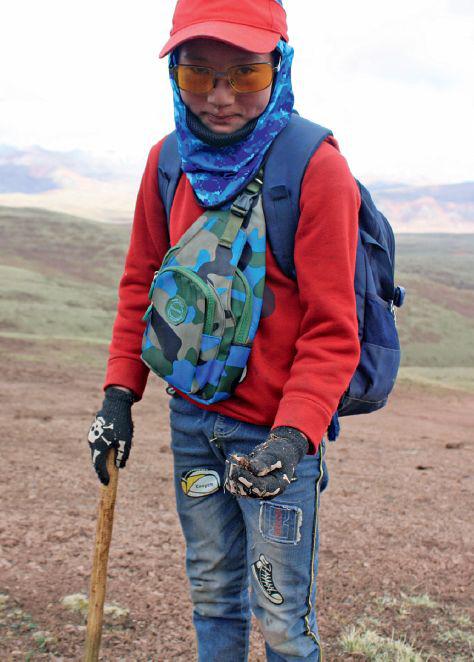 一位來自莫云的14歲藏族男孩，挖到自己這一天的第三枚蟲草。