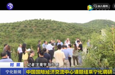 中國國際經濟交流中心課題組來寧化調研
