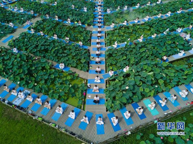 (社會)(5)福建建寧:蓮田花海瑜伽秀