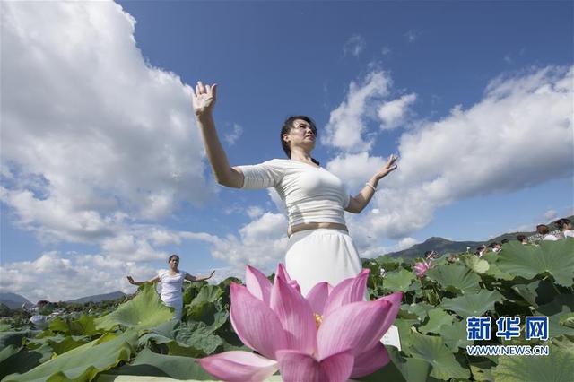 (社會)(2)福建建寧:蓮田花海瑜伽秀