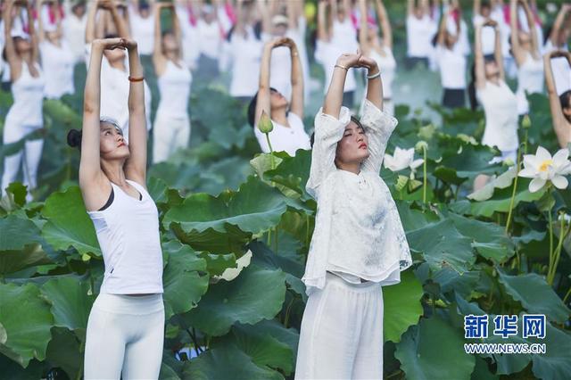(社會)(4)福建建寧:蓮田花海瑜伽秀