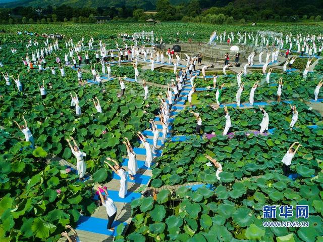 (社會)(6)福建建寧:蓮田花海瑜伽秀
