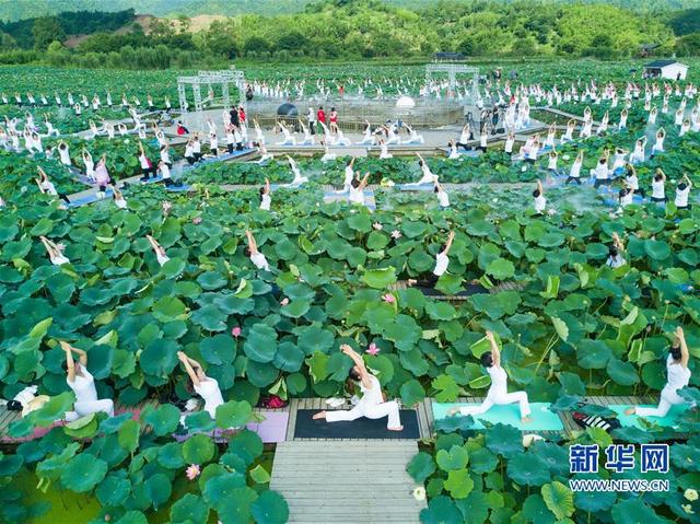 (社會)(3)福建建寧:蓮田花海瑜伽秀