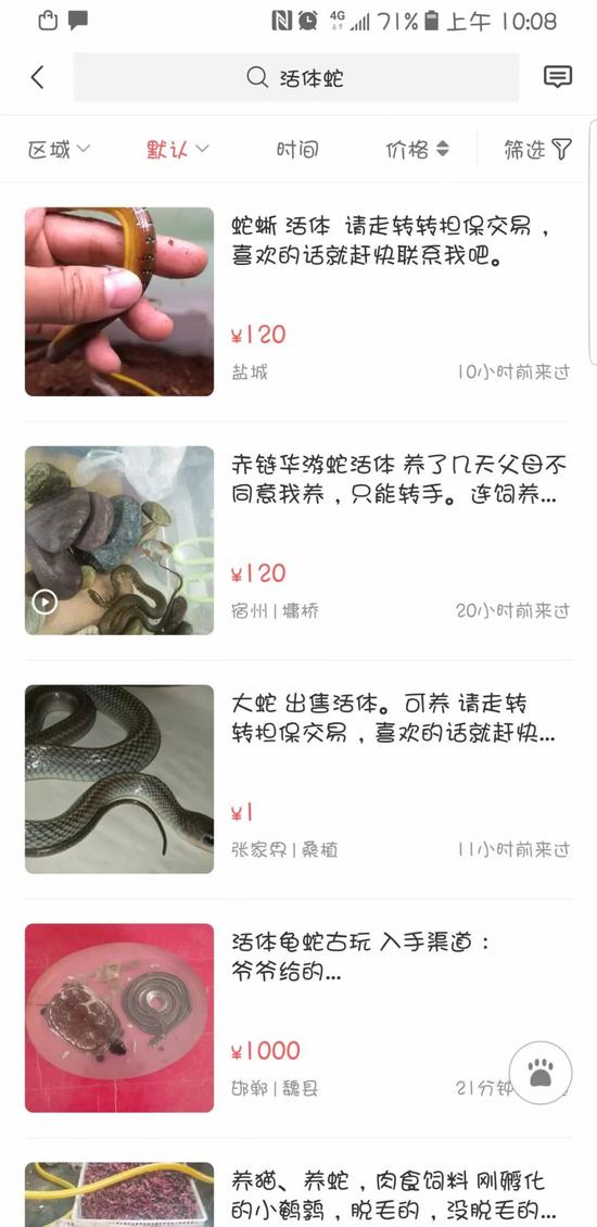 ▲紅星新聞記者在該平臺上，依然發現有許多賣蛇的信息。截圖