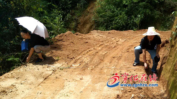 寧化：省現(xiàn)代竹業(yè)重點鄉(xiāng)鎮(zhèn)項目通過驗收