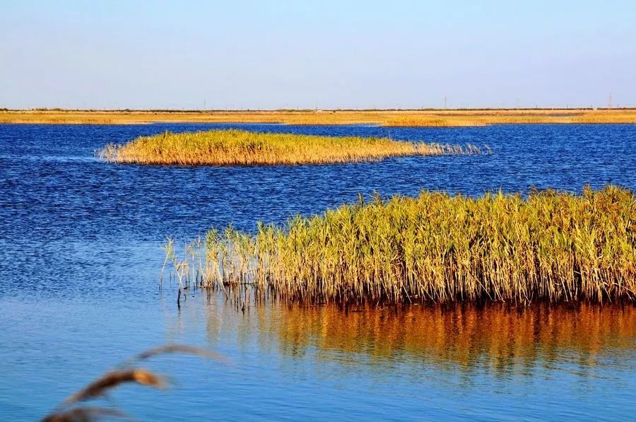 中游斷流長達(dá)20年?河道堆滿黃沙