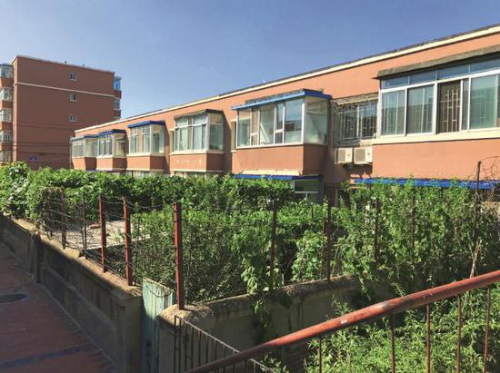 吉林省長春市，在長春生物制品研究所家屬小區(qū)中，有三排18戶小二層，每戶約100平方米。上世紀八九十年代，長生所職工稱這里為“小中南?！?，只有研究所的書記、所長、副所長或離休干部才能分配到這里的房子。攝影/李明子