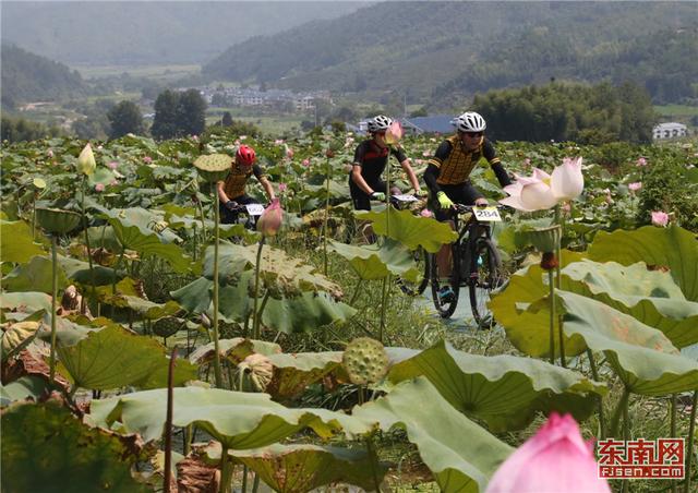 為荷而來(lái)·花海騎行——建寧第三屆自行車公開(kāi)賽