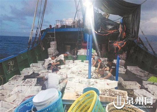 泉州蟳埔碼頭:漁船回港 海鮮熱賣