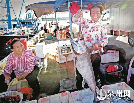 泉州蟳埔碼頭:漁船回港 海鮮熱賣