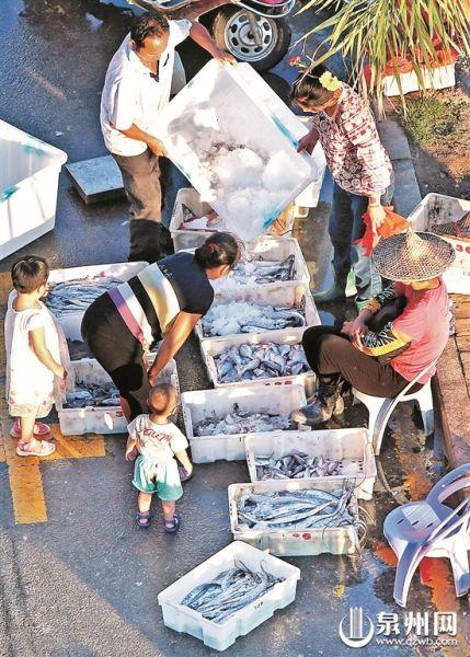 泉州蟳埔碼頭:漁船回港 海鮮熱賣