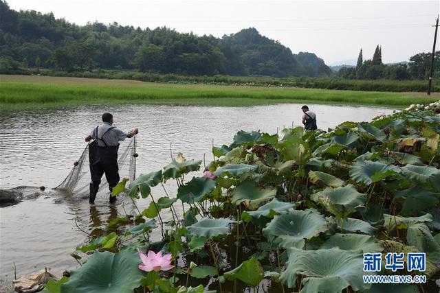 （環(huán)境）（3）浙贛閩聯(lián)手 共護(hù)綠水青山