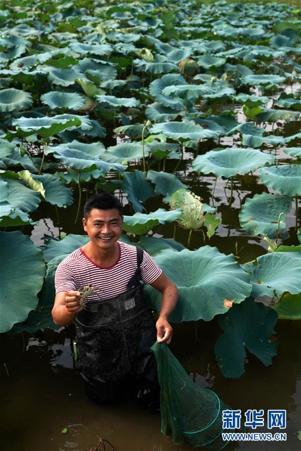 （環(huán)境）（4）浙贛閩聯(lián)手 共護(hù)綠水青山