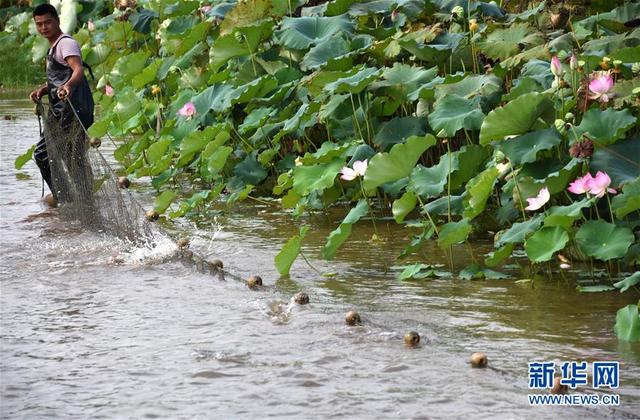 （環(huán)境）（2）浙贛閩聯(lián)手 共護(hù)綠水青山